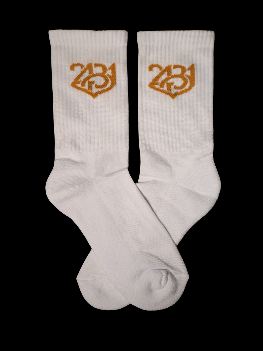 CALZE 2431