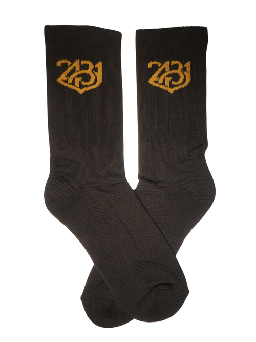CALZE 2431